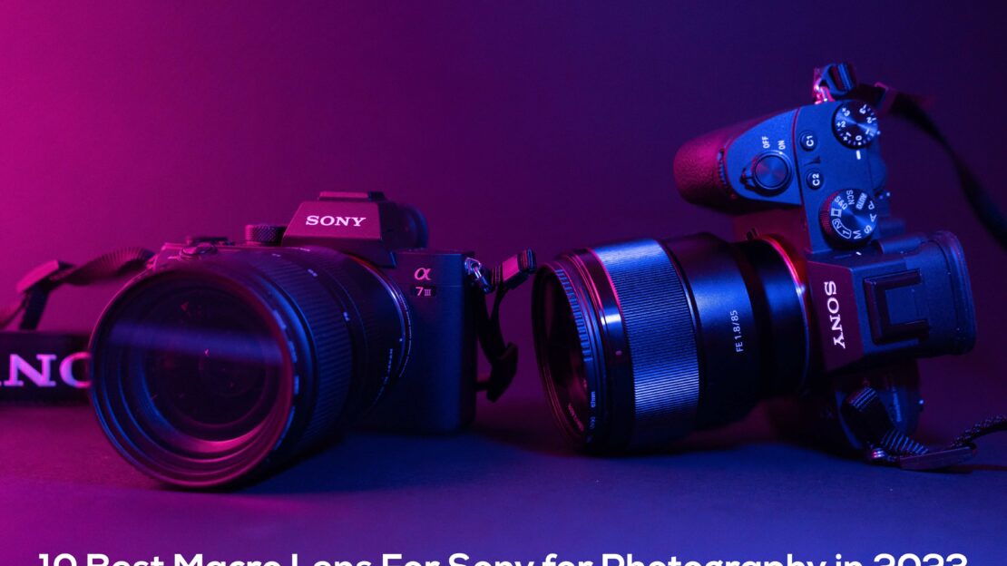 Best Macro Lens For Sony for Photography in 2023